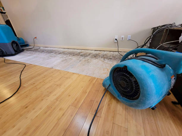 Professional Ceiling Water Damage Repair technician working in Trafalgar, IN