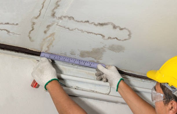 Affordable Ceiling Water Damage Repair solutions in Trafalgar, IN